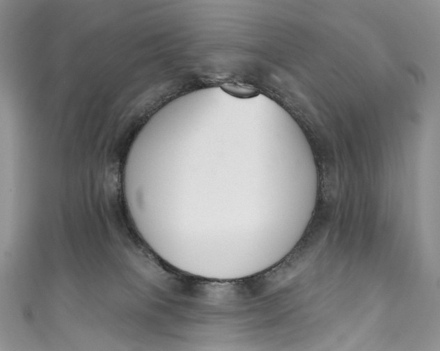 X0000110900085200907021546
