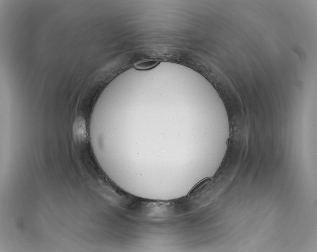 X0000110900089200907021546