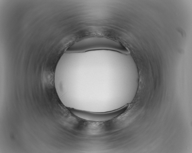 X0000110900096200907021546