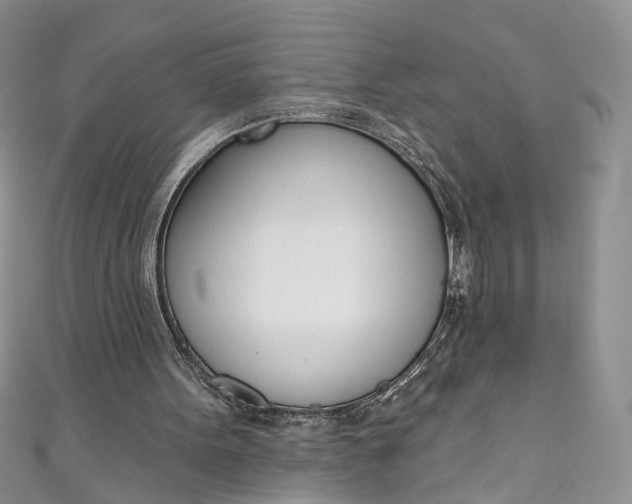 X0000110900099200907021546