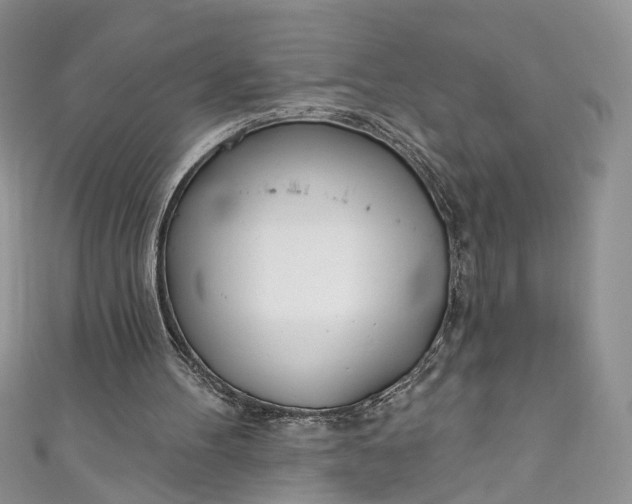 X0000110900100200907021546