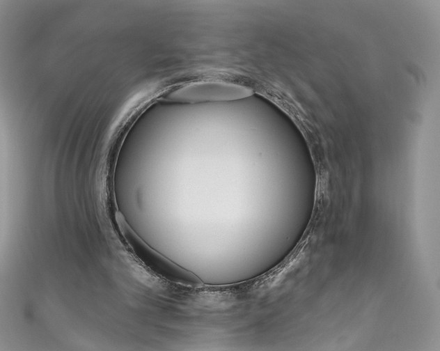 X0000110900101200907021546