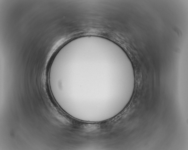 X0000110900102200907021546