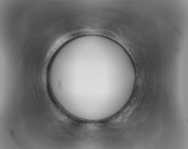 X0000110900103200907021545