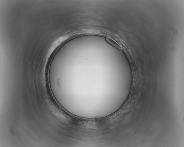 X0000110900104200907021545