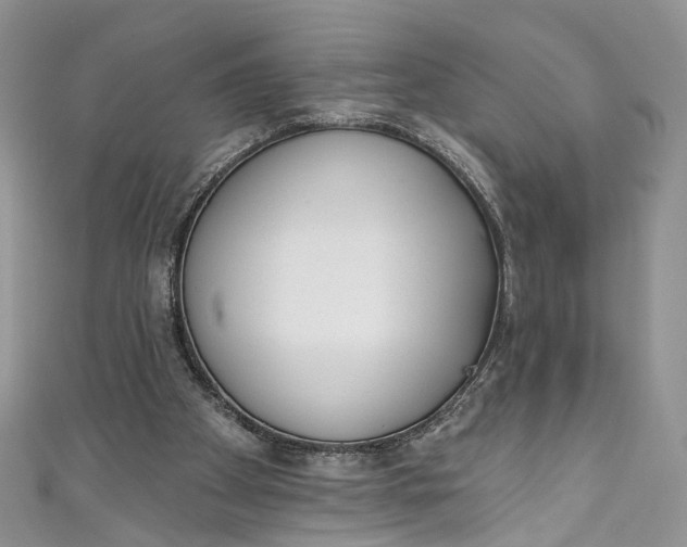 X0000110900105200907021545