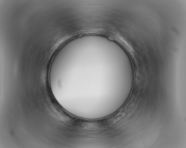 X0000110900107200907021545