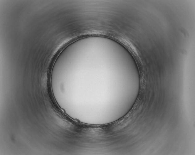 X0000110900108200907021545