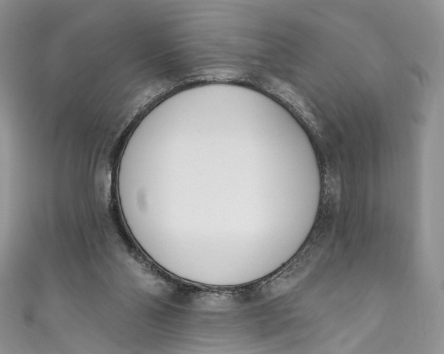 X0000110900110200907021545