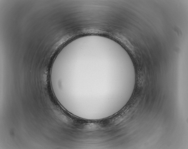 X0000110900111200907021545