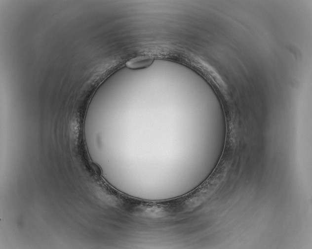 X0000110900113200907021545