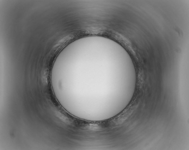 X0000110900114200907021545