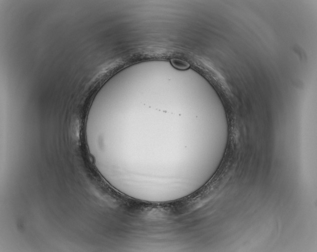 X0000110900115200907021545