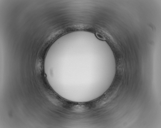 X0000110900119200907021545