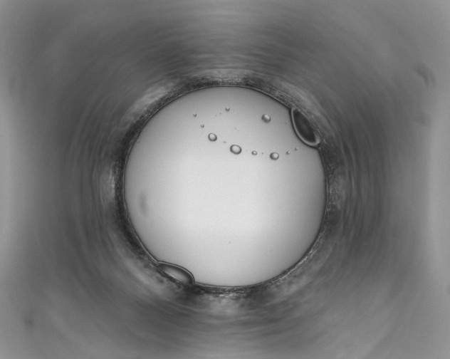 X0000110900120200907021545
