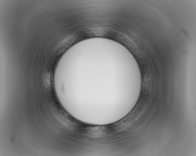 X0000110900122200907021545