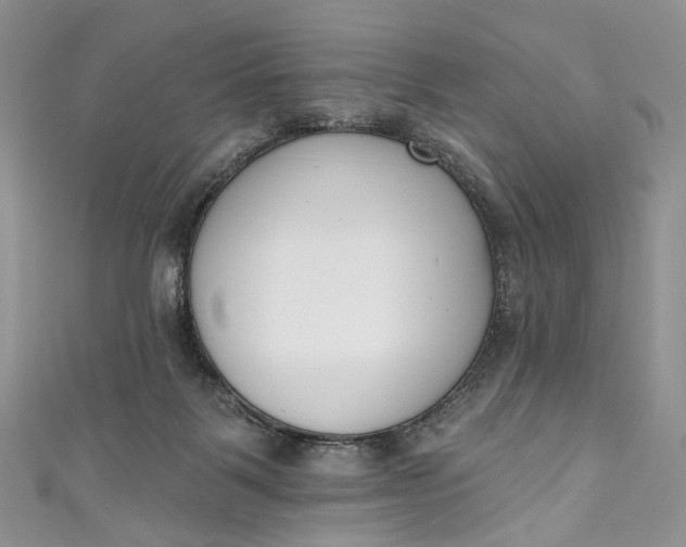 X0000110900123200907021545