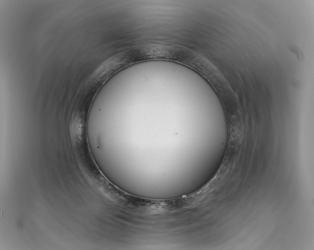 X0000110900124200907021545