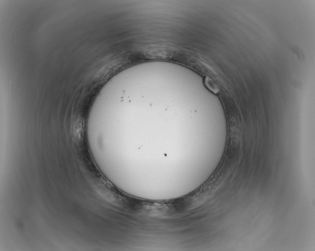 X0000110900125200907021545