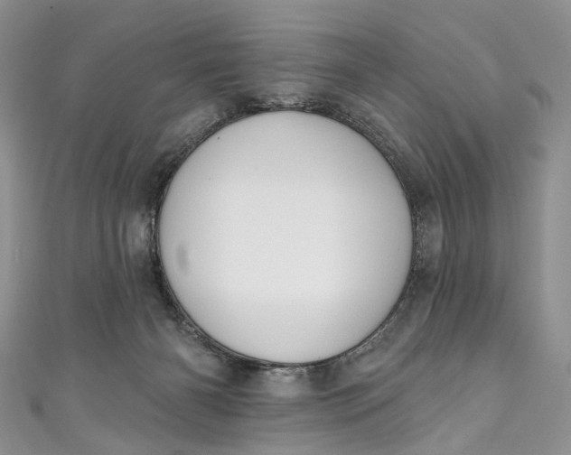 X0000110900126200907021545