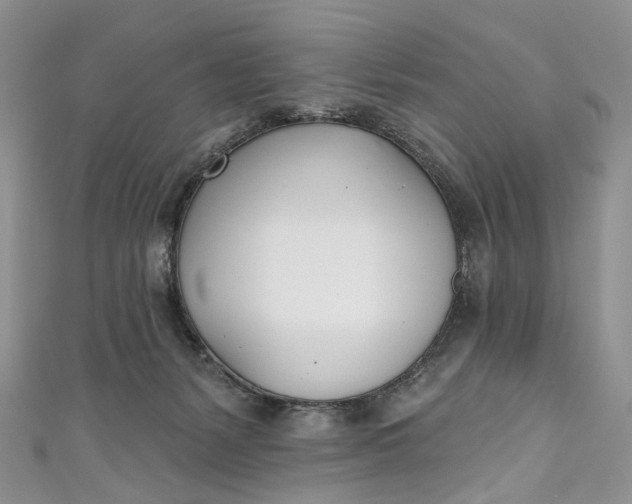 X0000110900127200907021545