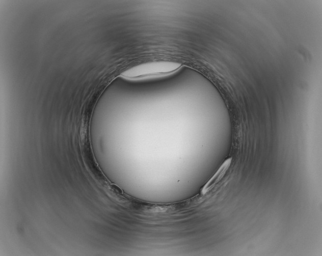 X0000110900129200907021545