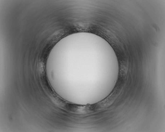X0000110900130200907021545