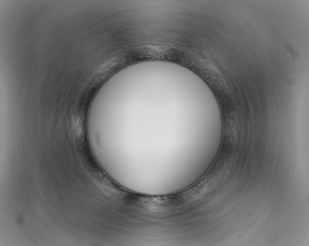 X0000110900131200907021545