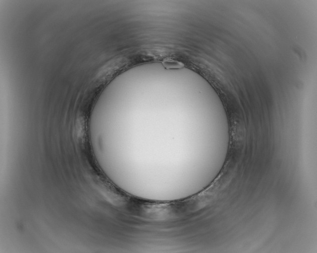 X0000110900132200907021545