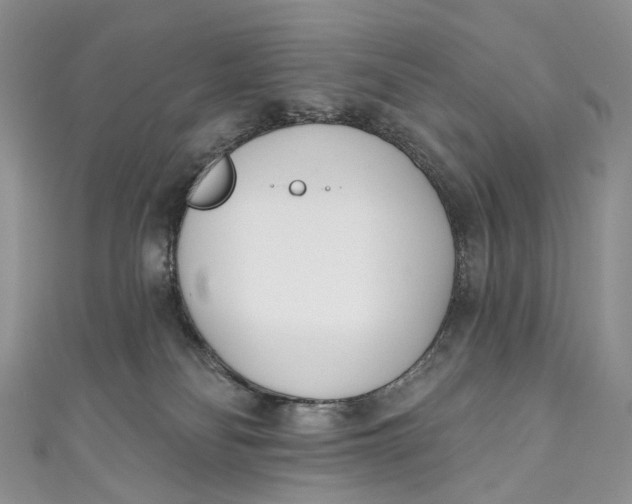 X0000110900134200907021545