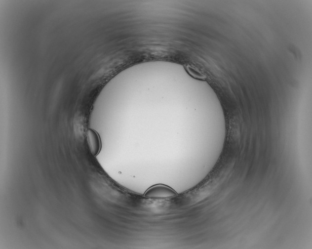 X0000110900135200907021545