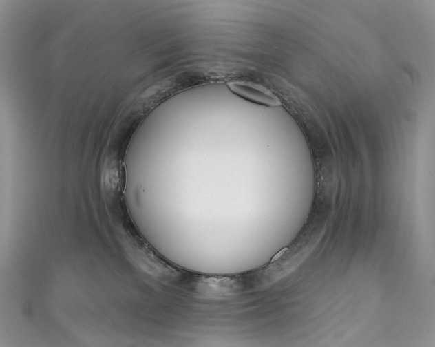 X0000110900137200907021545