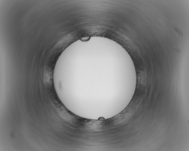 X0000110900138200907021545