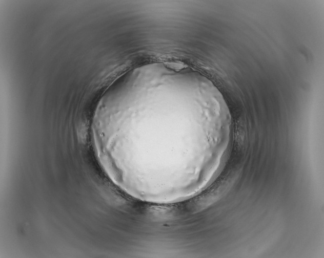 X0000110900139200907021545