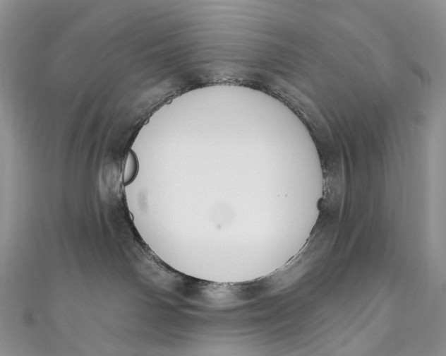 X0000110900142200907021545