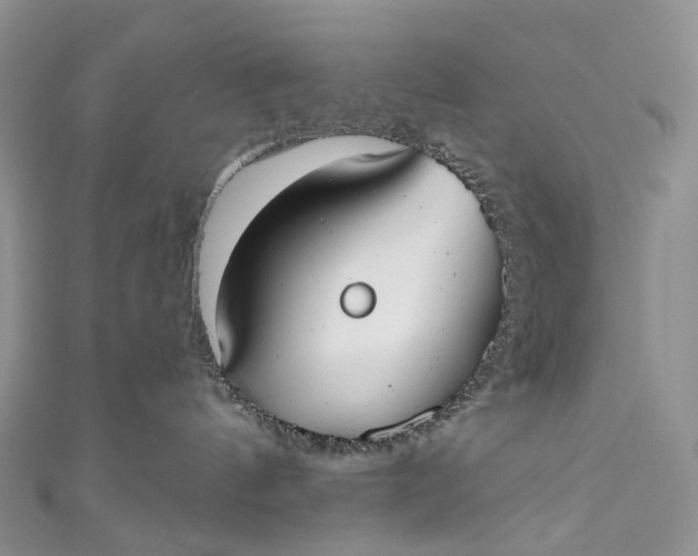 X0000110900144200907021545
