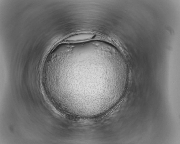 X0000110900145200907021544
