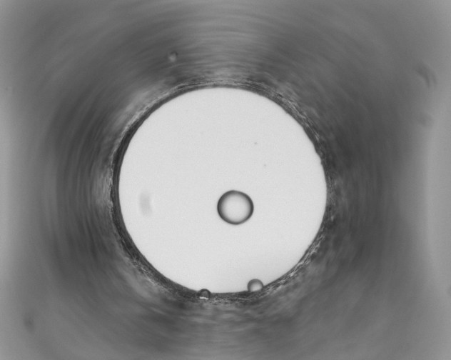 X0000110900146200907021544