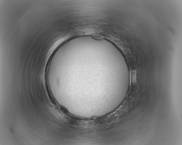 X0000110900147200907021544