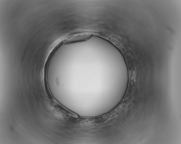 X0000110900148200907021544