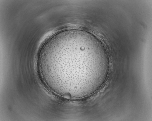 X0000110900149200907021544
