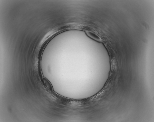 X0000110900150200907021544