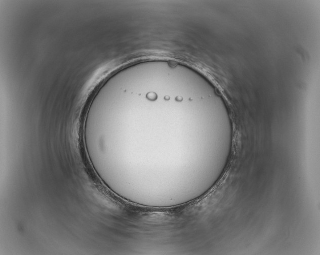 X0000110900151200907021544