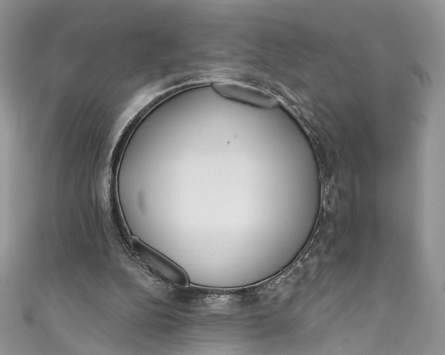 X0000110900152200907021544