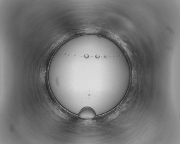 X0000110900153200907021544