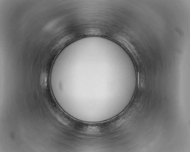 X0000110900157200907021545