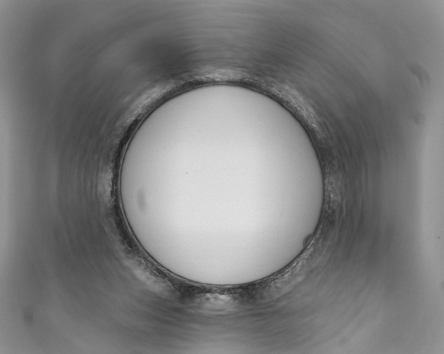 X0000110900159200907021545