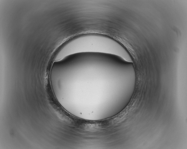 X0000110900160200907021545