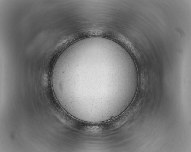 X0000110900161200907021545
