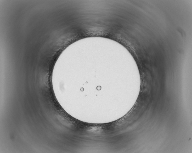 X0000110900162200907021545